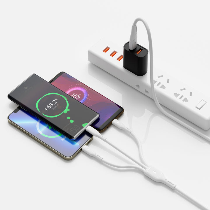 Wiwu Starlink Cable C-C+L+M