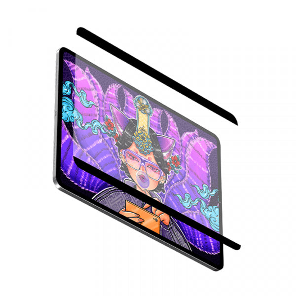 Wiwu Removable Magnetic Screen Protector For iPad
