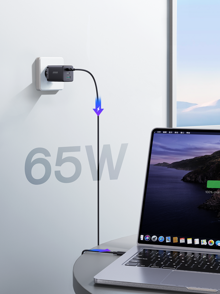 Joyroom 65W Fast
Charger + 100W C to C Cable